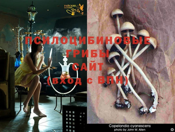 соль ск Осташков