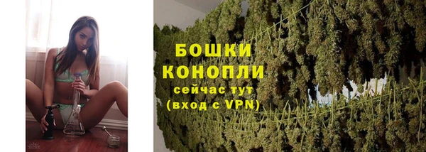 соль ск Осташков