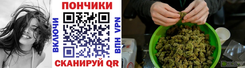 купить   Алагир  Марихуана конопля 